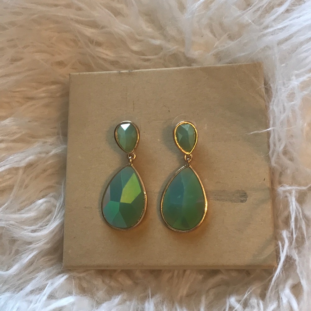 Pretty earrings
